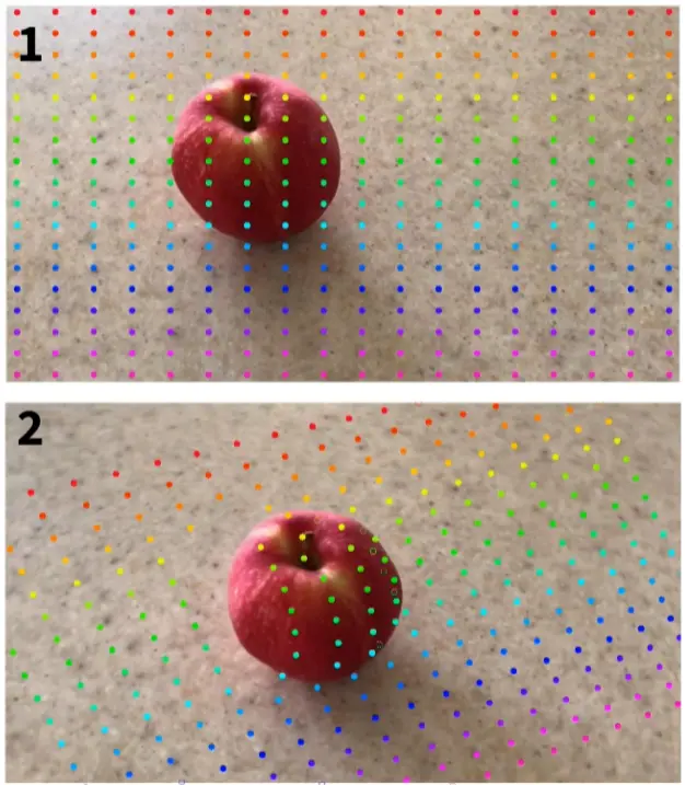 Meta Launched CoTracker! This Is What We Have to Say About it.
